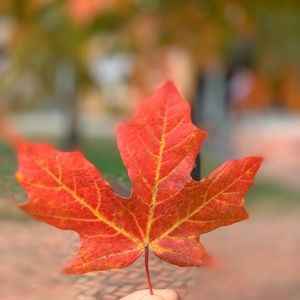 Meet your Posher, Zhen